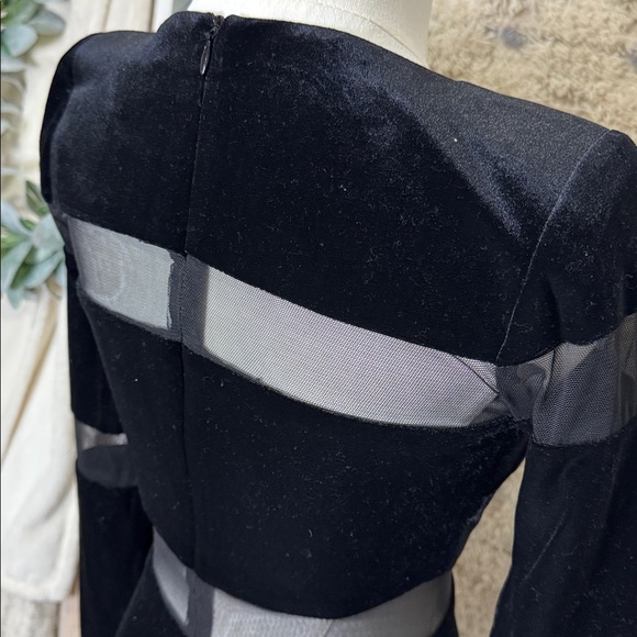 BETSY & ADAM black full length
Illusion Velvet Sheath Gown size 0 - Picture 6 of 10